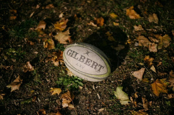 a rugby ball laying on the ground surrounded by leaves